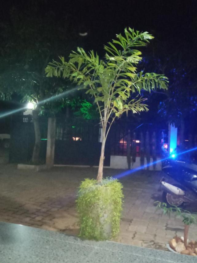 Restwell Homestay Dambulla Bagian luar foto