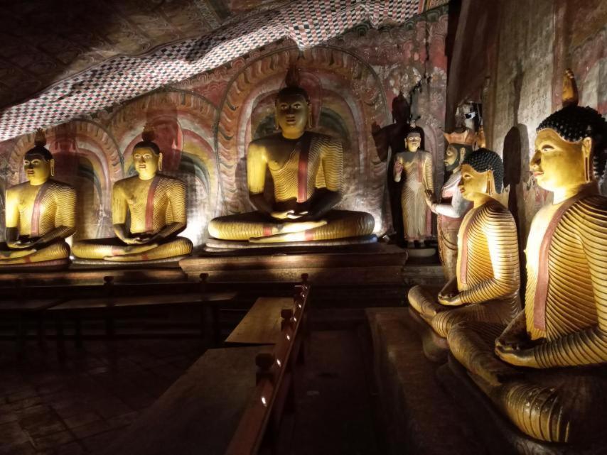 Restwell Homestay Dambulla Bagian luar foto